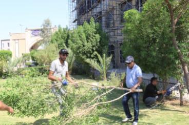 The Agricultural Division of the Services Department is implementing a large-scale afforestation cam